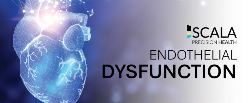 Understanding Endothelial Dysfunction: The Missing Link in Heart Disease